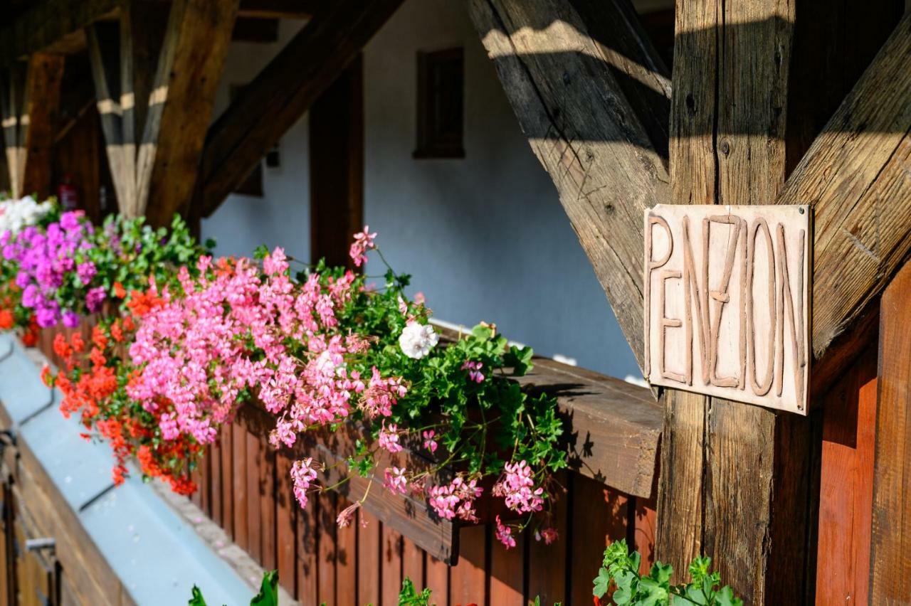 Penzion Tyra Trinec Bagian luar foto